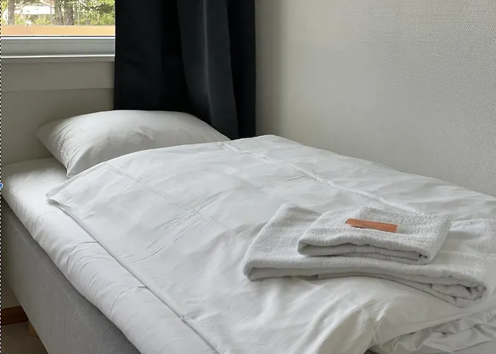 Borg Sommerhotell ホテル 3*