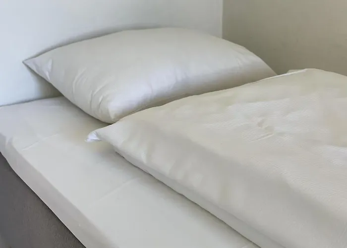 ホテル Borg Sommerhotell オーレスン