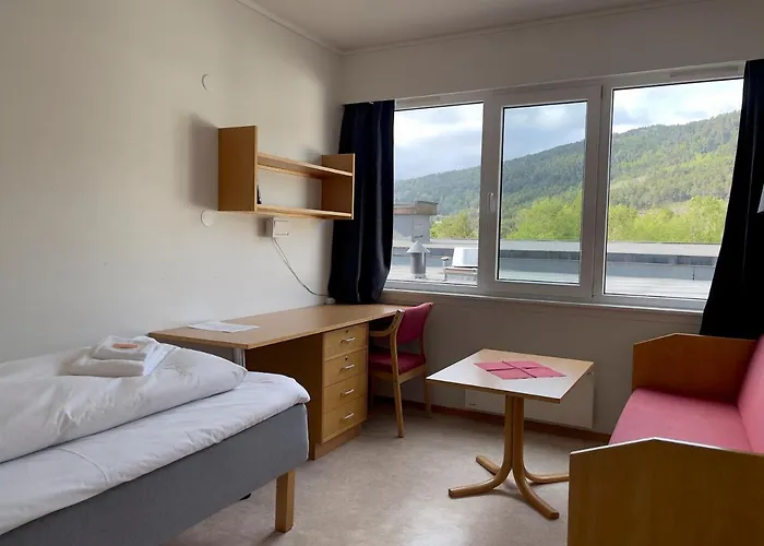 Borg Sommerhotell ホテル