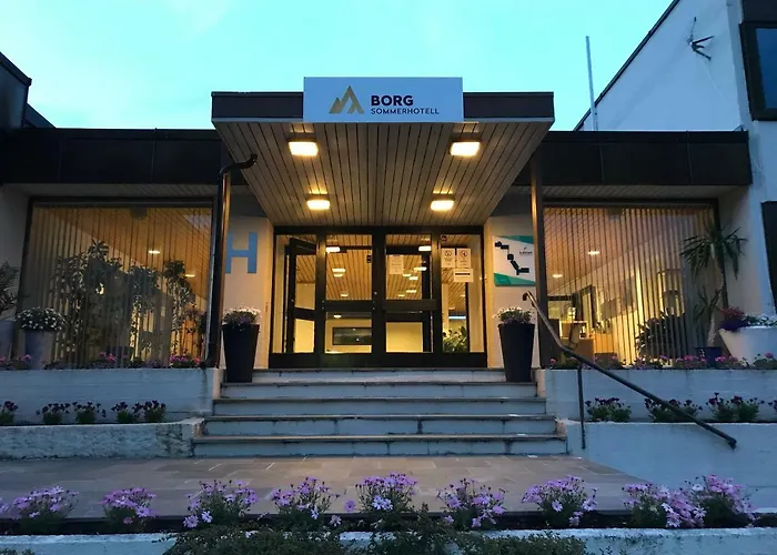ホテル Borg Sommerhotell